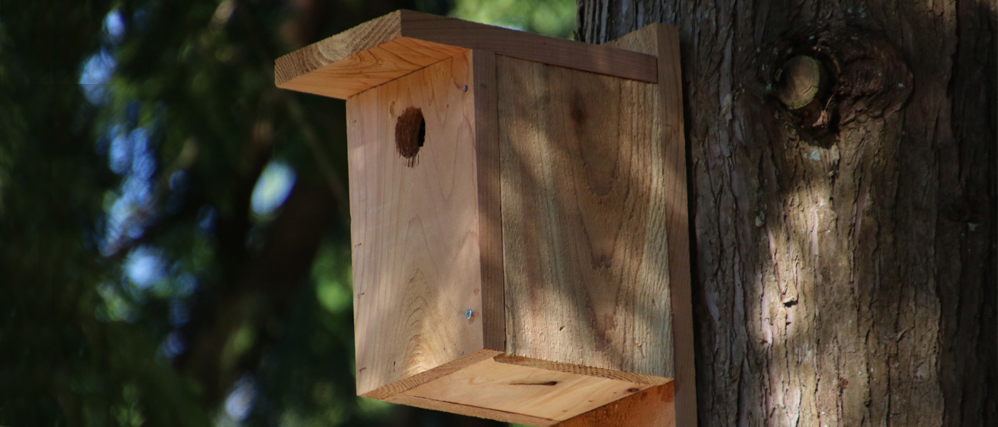 cedar bird house