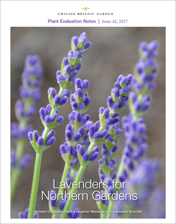Lavendar for Northern Gardens Evaluation Study
