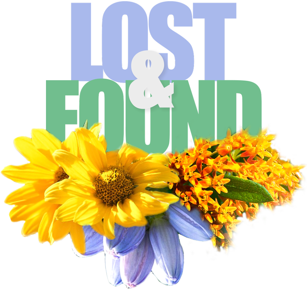 Lost & Found