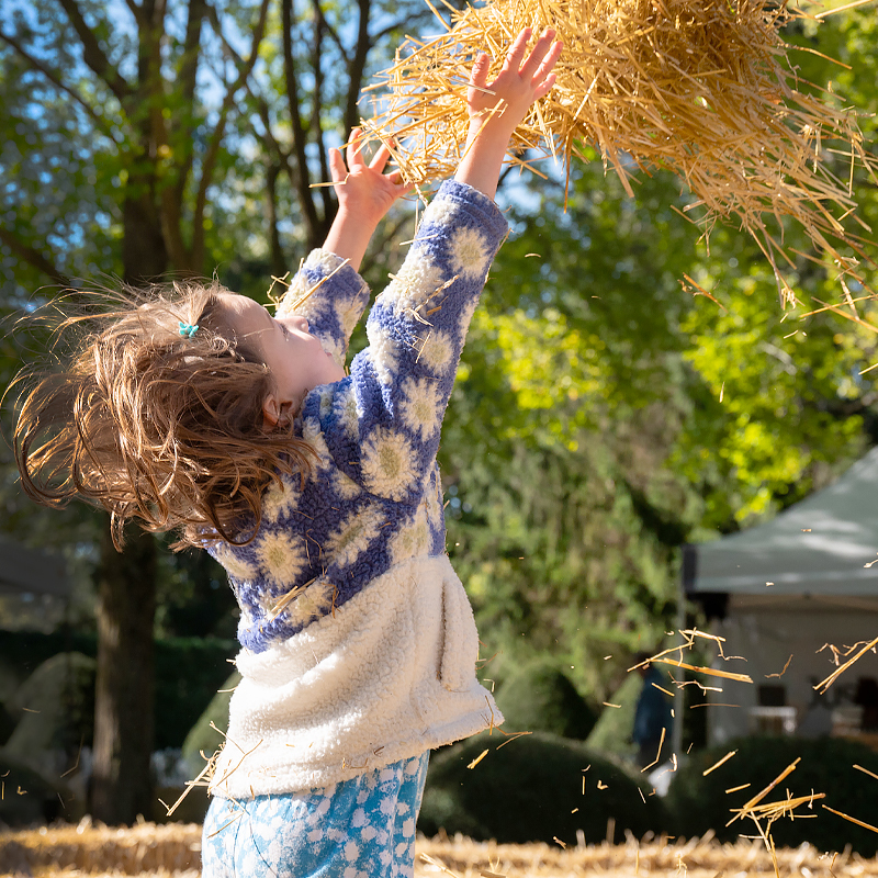 Fall Bulb Festival