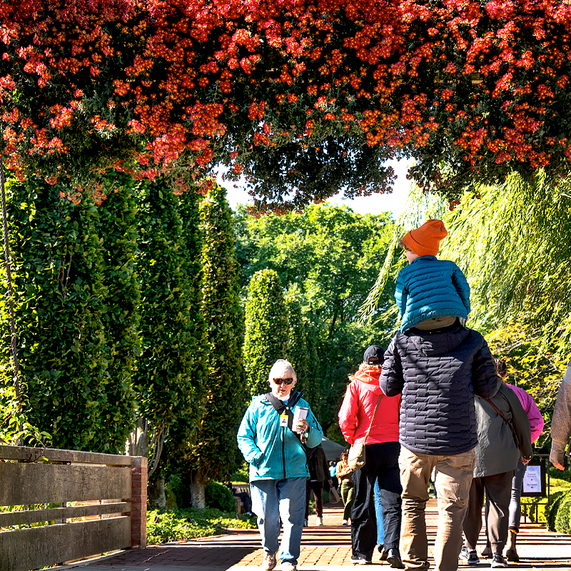 Fall Bulb Festival