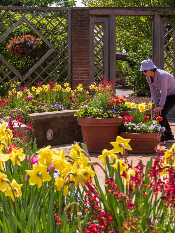 Buehler Enabling Garden people engaging