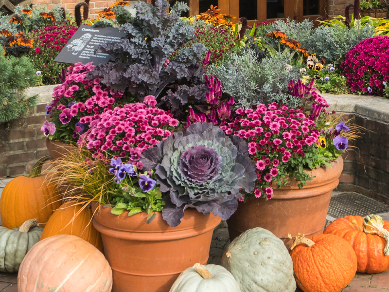 fall containter displays