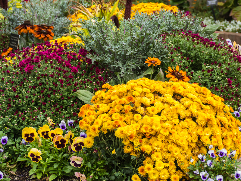 fall containter displays