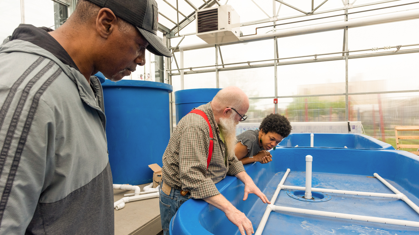 aquaponics training