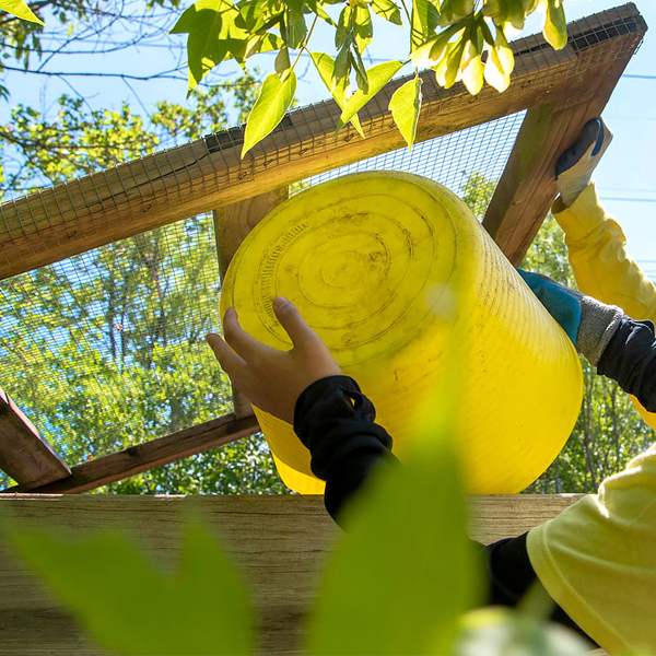 composting buckets