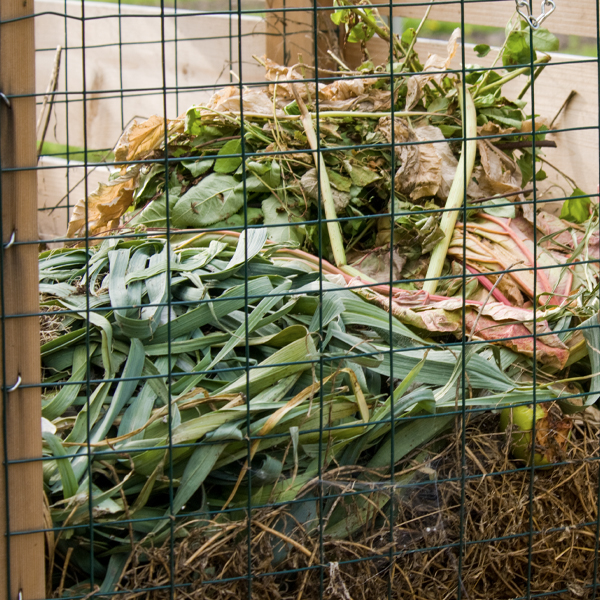 composting food scraps