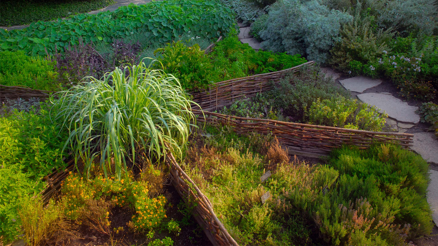 herb garden bed