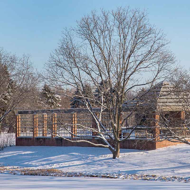 Fruit & Vegetable Garden - winter