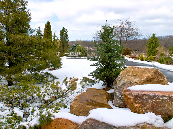 Dwarf Conifer Garden