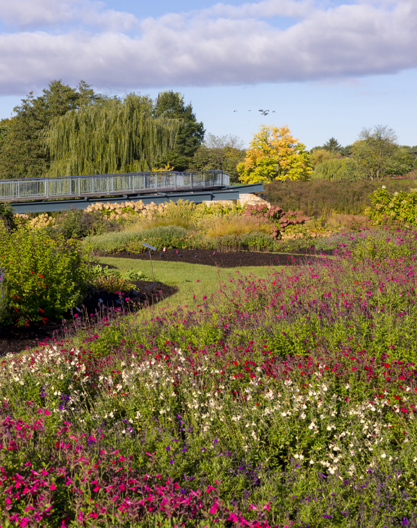 Plant Evaluation Garden