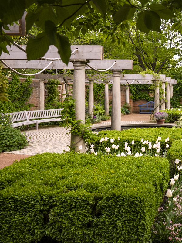 Pergola English Wall Garden