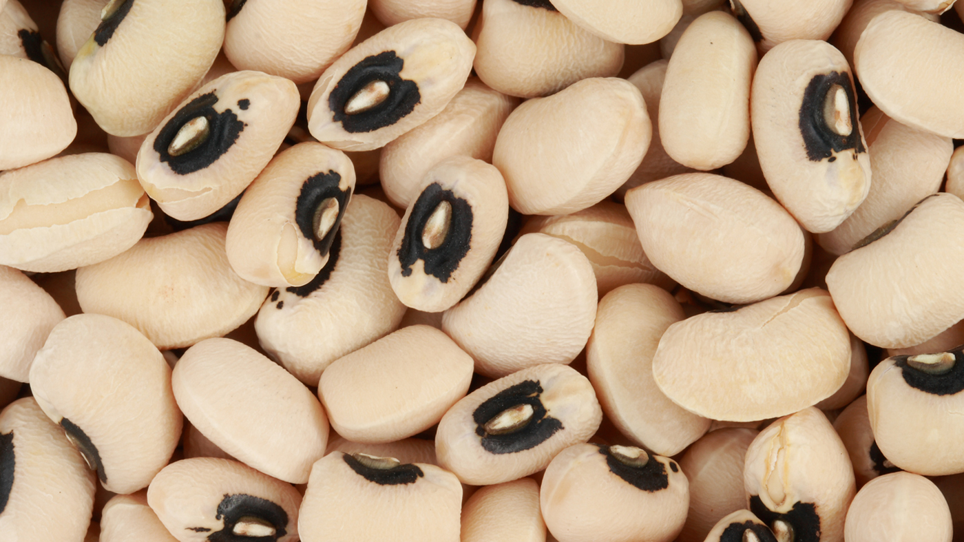 Majani Catering: Black-Eyed Pea Fritters