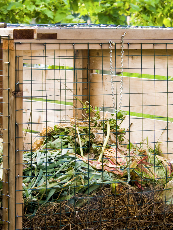 compost pile