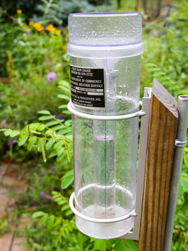 rain gauge