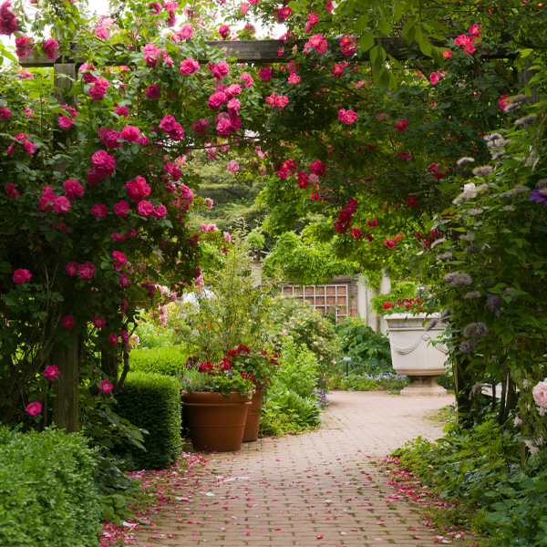 English walled garden