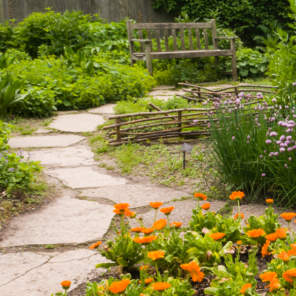 garden borders