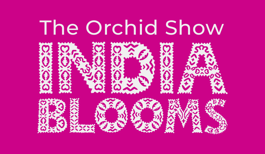 orchid show