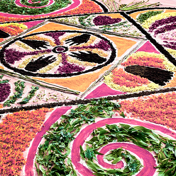 Rangoli at The Orchid Show: India Blooms