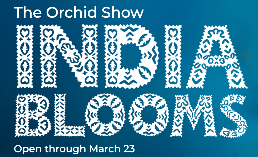 orchid show logo