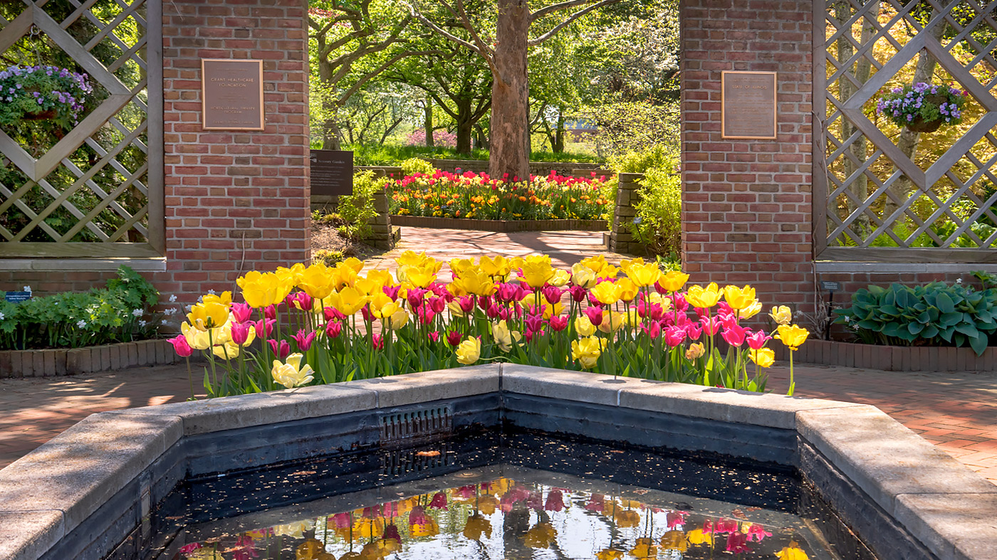 Buehler Enabling Garden Therapeutic Horticulture