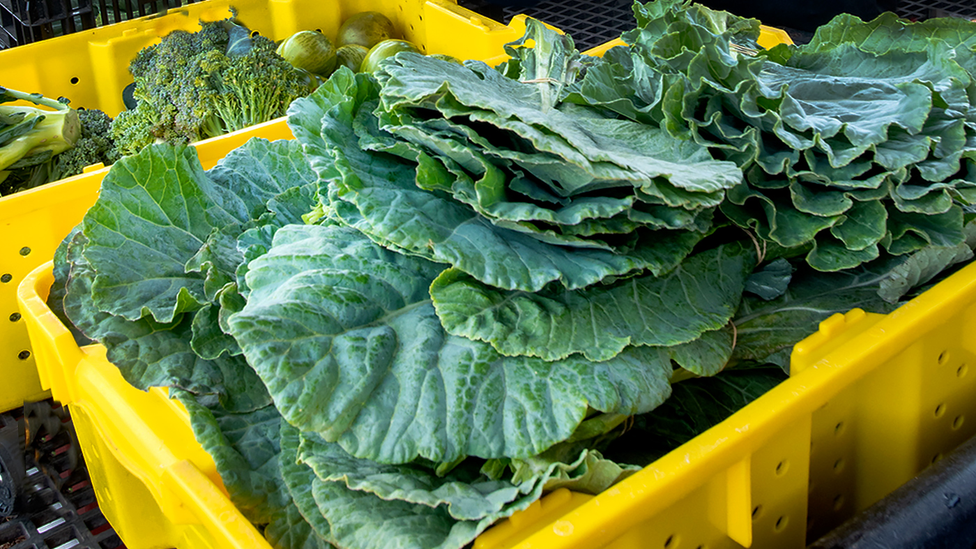 Windy City Harvest Wholesale Produce