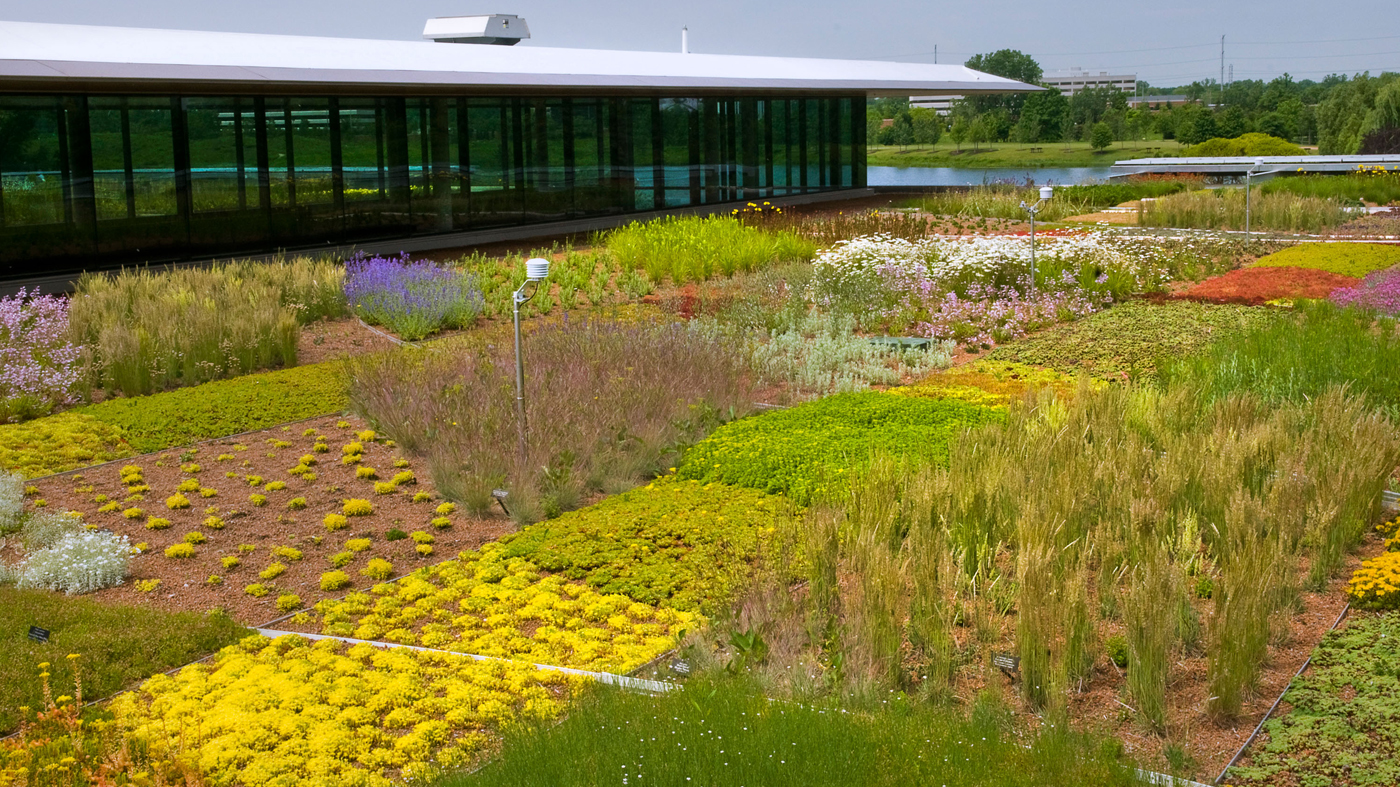 Green Roof Aerial photo