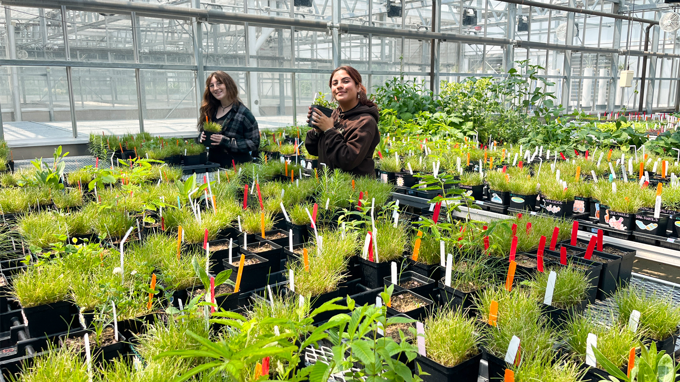wo undergraduate students collect data in a greenhouse surrounded by plants