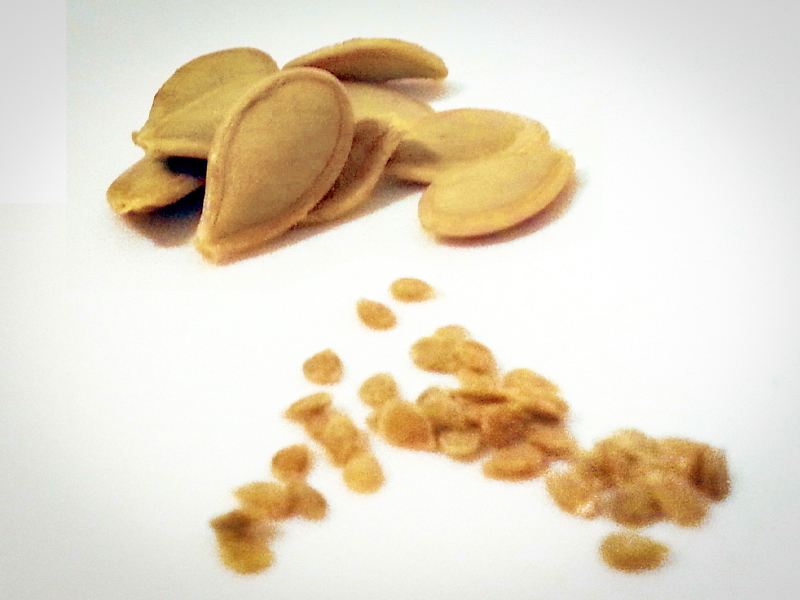pumpkin seeds