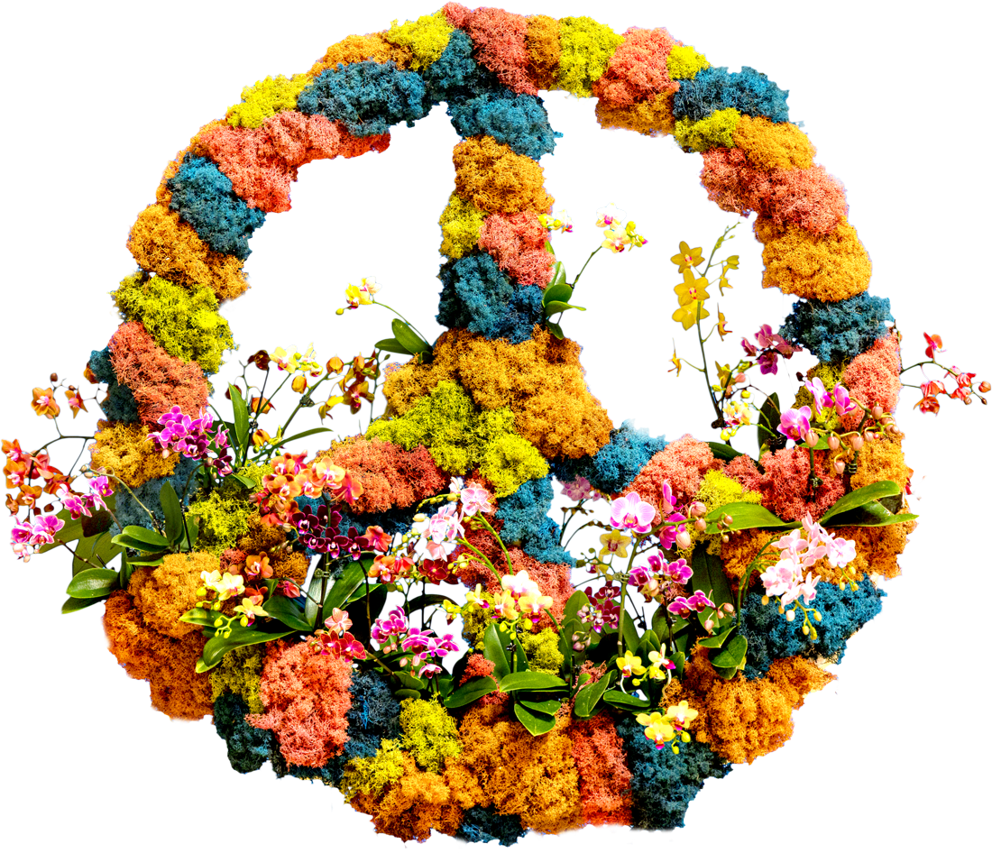 The Orchid Show: Feelin' Groovy