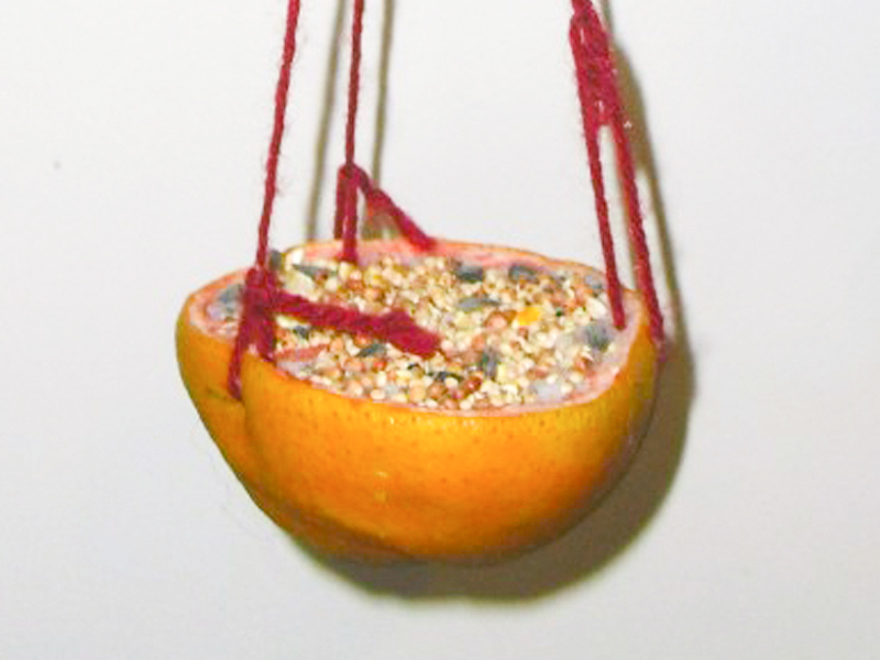 finished grapefruit birdfeeder