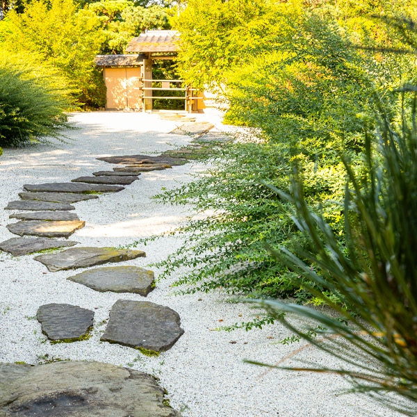 japanese garden