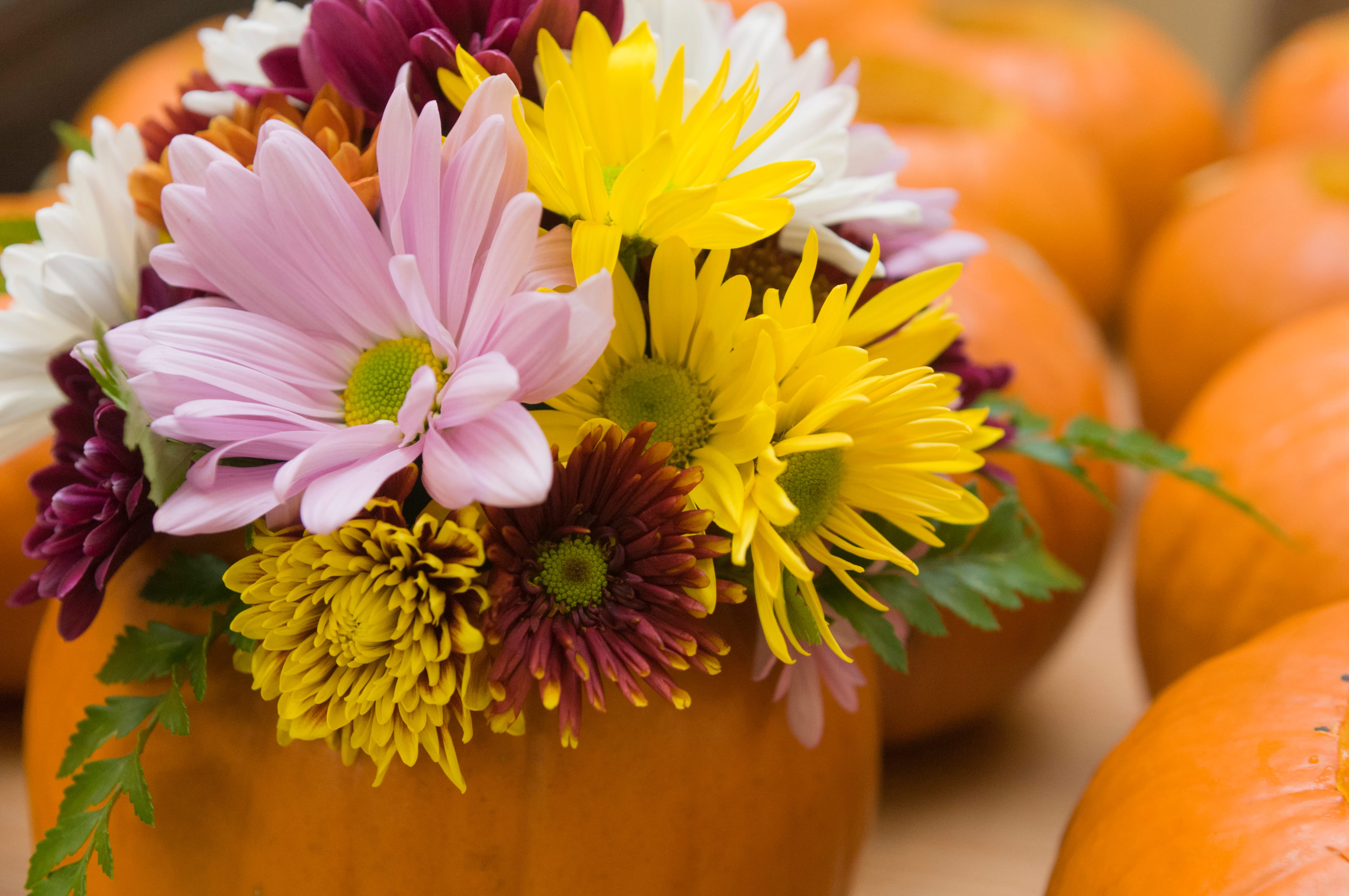 Fall Harvest Activities for Horticultural Therapy | Chicago Botanic Garden