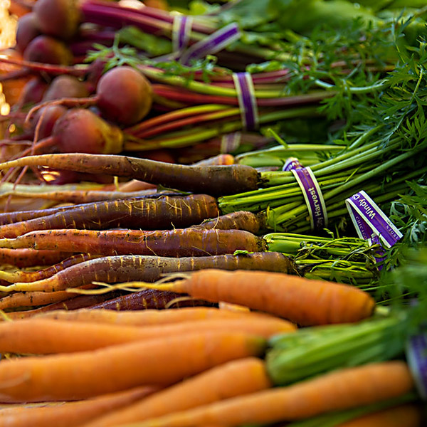 Windy City Harvest Food