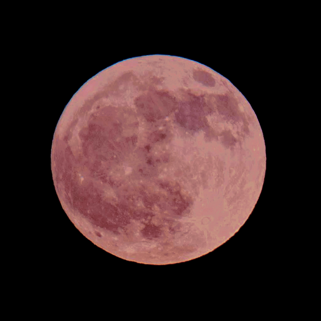 Full Moon Eclipse | Chicago Botanic Garden