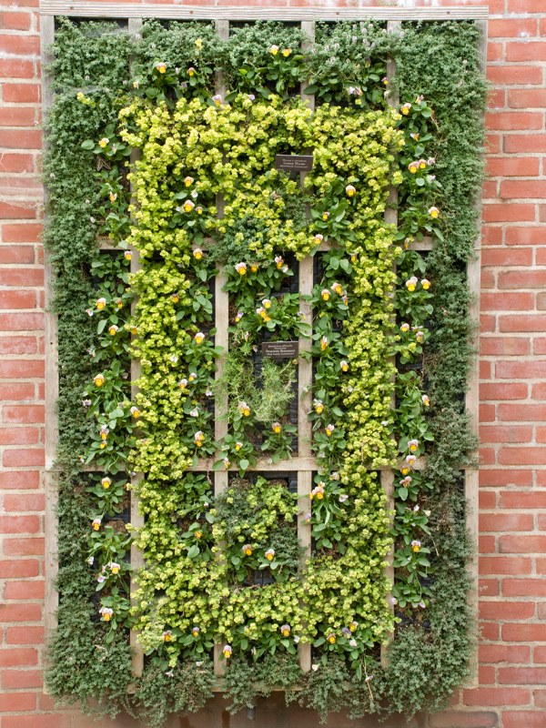 Verticle wall in English Garden