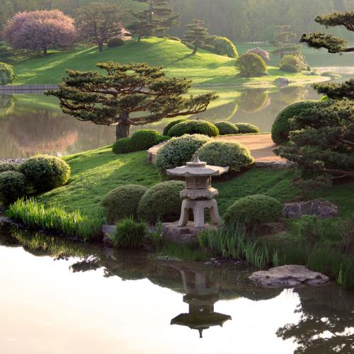 Japanese Garden