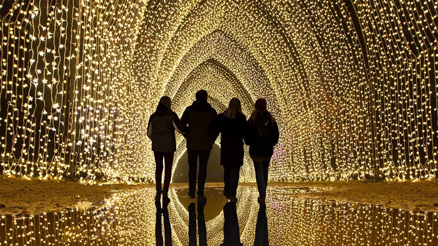 Lightscape | Chicago Botanic Garden