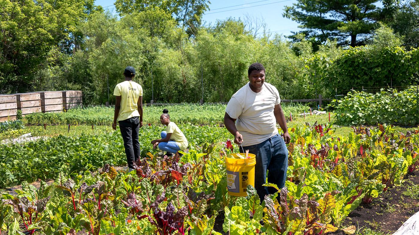 Youth Farm Training