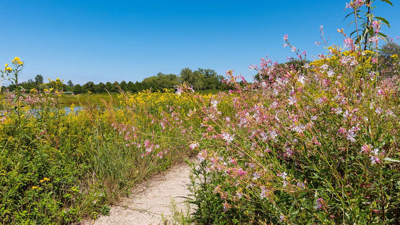 Prairie walk