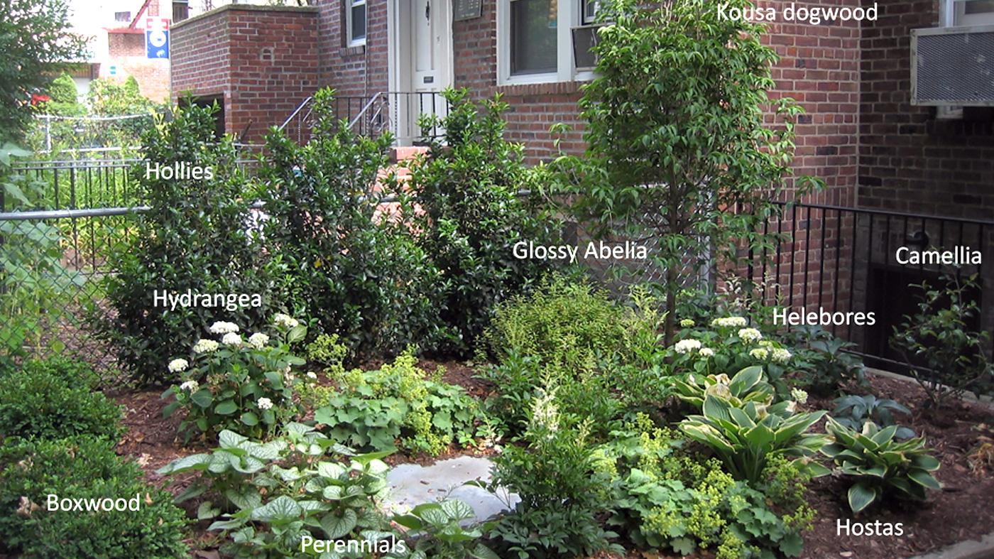 Small Space Gardening - Photo by Duncan Himmelman