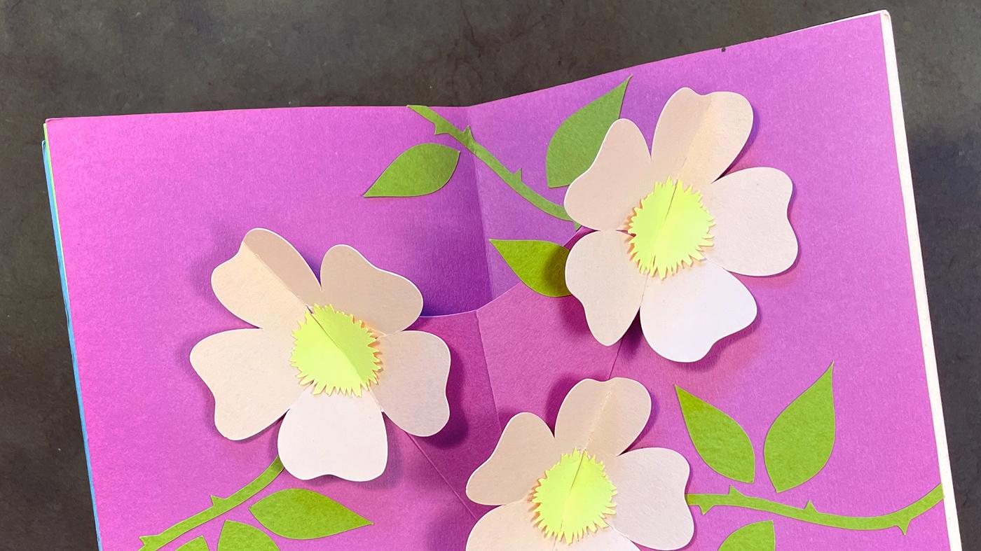 Adult Ed Botanical Arts Pop-Up Paper Flower Card Workshop