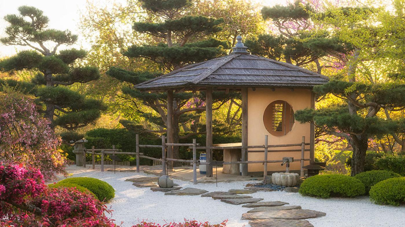 The Zen Garden  Chicago Botanic Garden