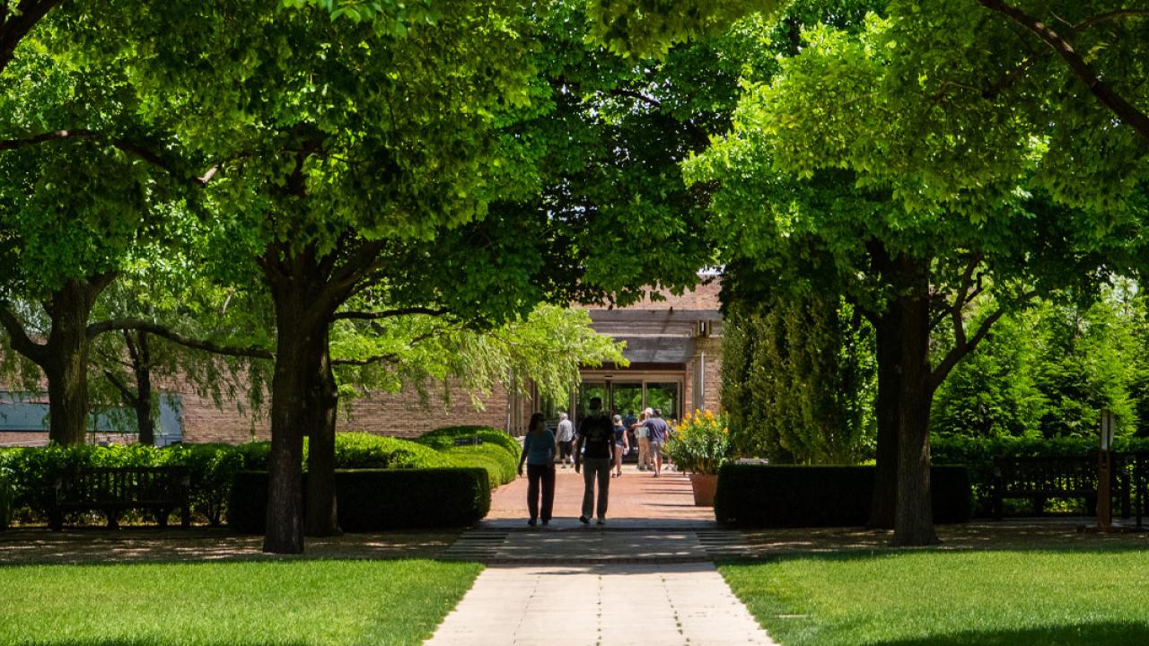 A Walk in the Shadow Garden