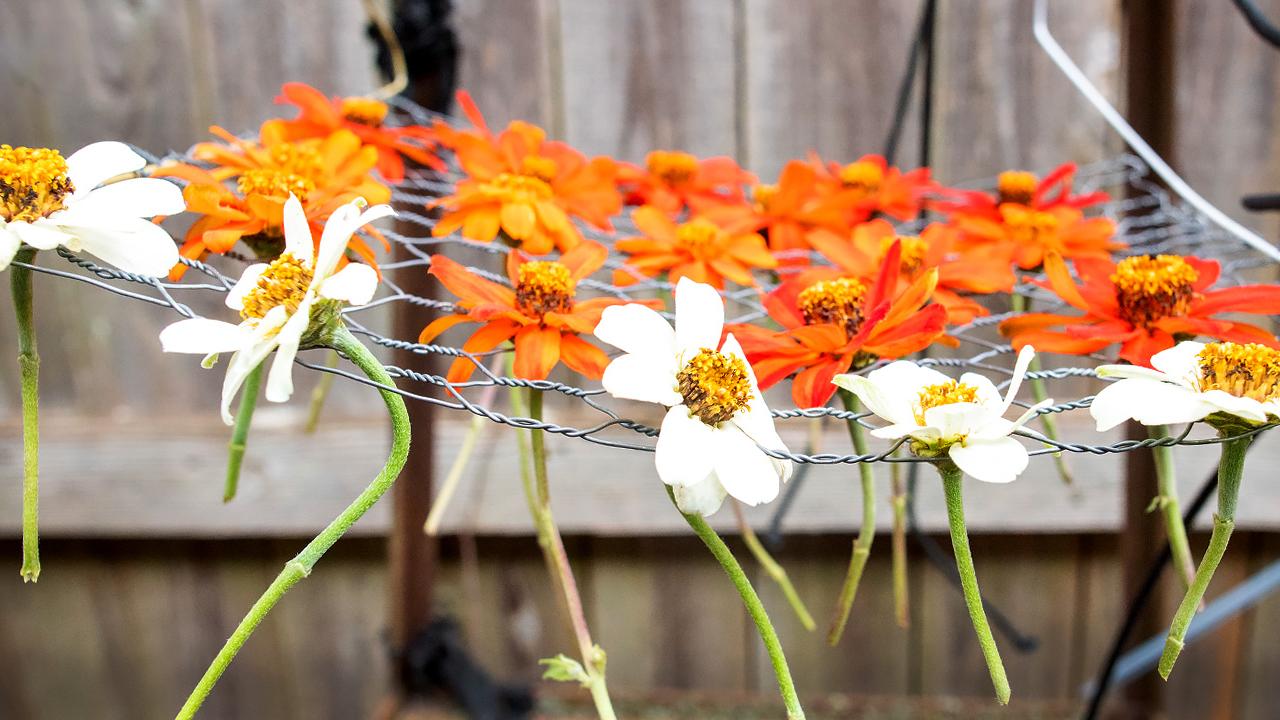 Table basket seashell Flower's planters Cottagecore gjft - Inspire