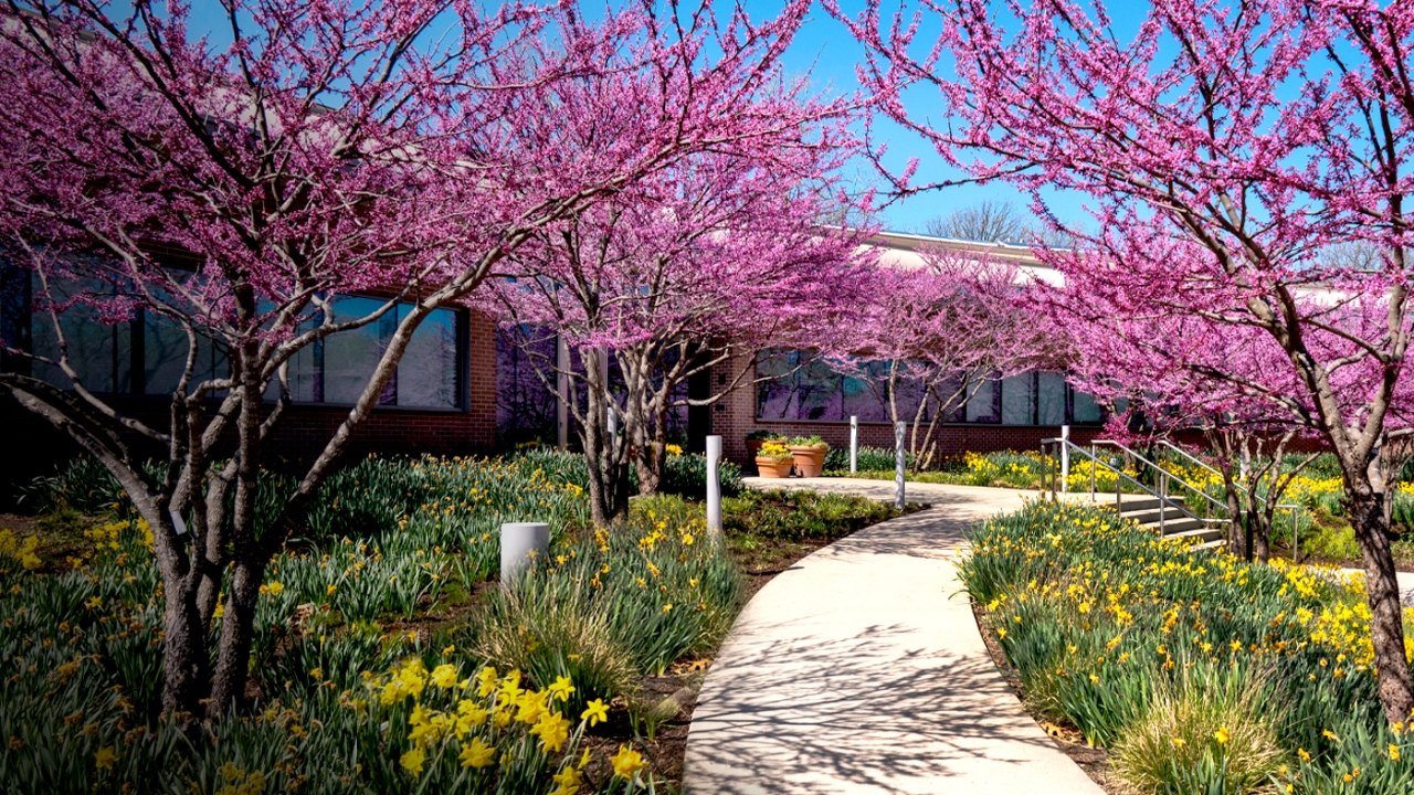 Learning Center