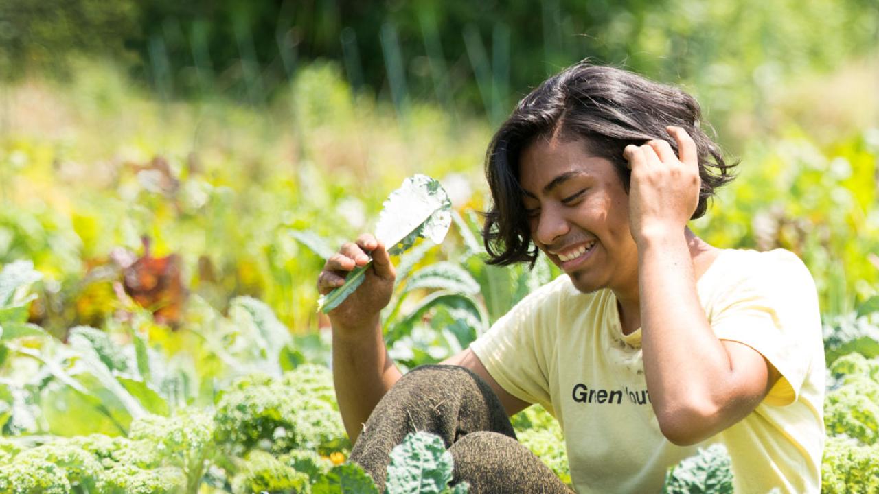 How Urban Farms Are Changing the Way We Eat - Eater